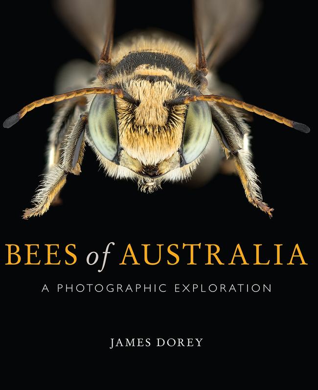 Bees of Australia: A Photographic Exploration, by James Dorey.