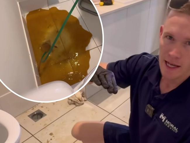 Plumber given unpleasant surprise when unclogging bathroom drain. Picture: TikTok