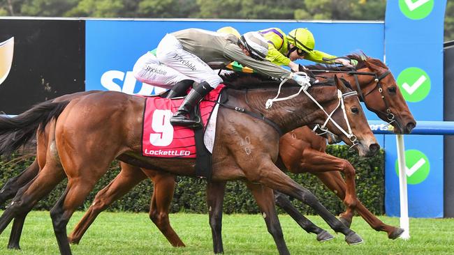 Nodachi ridden by Damian Lane and Lake Vostok ridden by Tom Prebble deadheat for the win in the LockettLED.au Handicap at Sportsbet Sandown Lakeside Racecourse on July 17, 2024 in Springvale, Australia. (Photo by Pat Scala/Racing Photos via Getty Images)