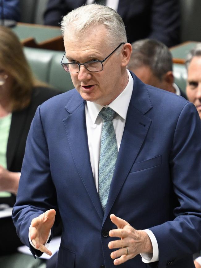 Arts Minister Tony Burke. Picture: NewsWire / Martin Ollman