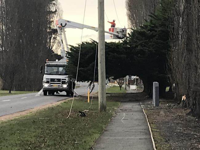 Crews work on power lines felled by a large tree in Gilbert St, Latrobe. Picture HELEN KEMPTON