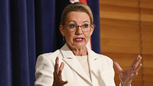 Liberal leader Sussan Ley said it was “disappointing” coalition agreement talks with Mr Littleproud had broken down. Picture: NewsWire / Martin Ollman