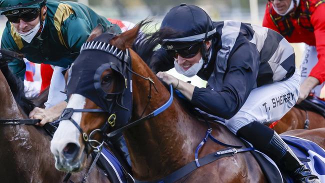 Sixgun looks ready to break through after two good efforts back from a spell. Picture: Getty Images