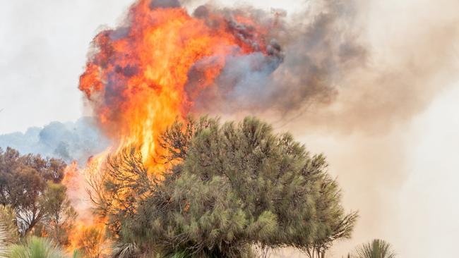 Kangaroo Island’s destructive 2020 blaze. Picture: Sean McGowan.