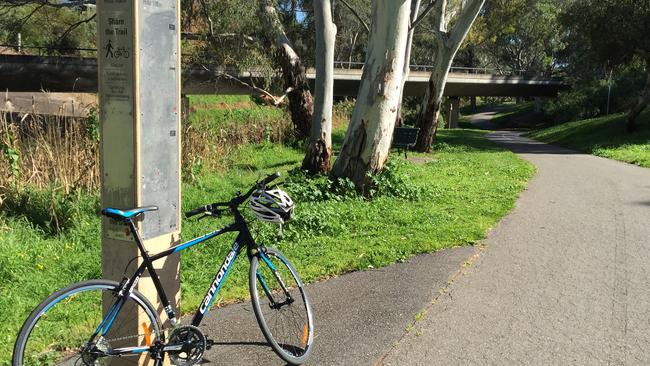 The Linear Park Trail winds along the River Torrens. Picture: Supplied