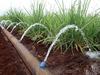 ‘No alternate supply’: Goondiwindi advances water security efforts