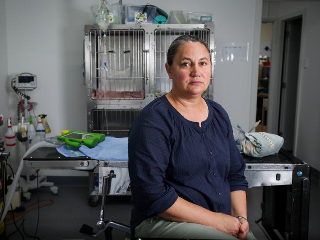 Jasmin Klocker is a vet in the Hunter Valley in NSW who used to own 3 vet practices and is downsizing to one. Her husband, also a vet, took his own life in 2017. Picture: Liam Driver/ News Corp Australia