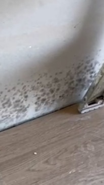 Mould discovered from the rental commissioner's first unannounced visit