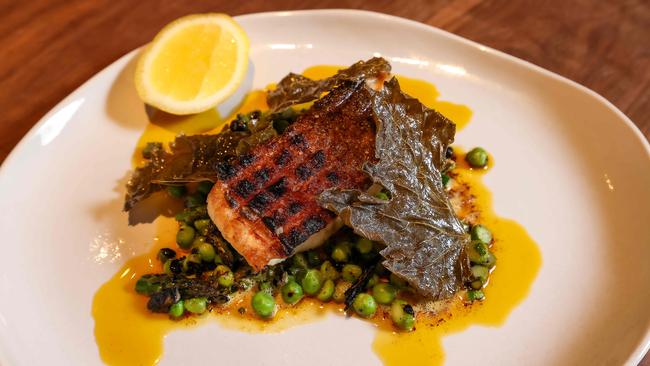 Murray Cod Australia’s freshwater fish is getting attention in top-end restaurants across the country. Picture: Ian Currie