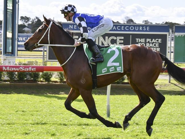 Barazin looks well placed to break through for his first Australian win at Randwick-Kensington. Picture: Bradley Photos