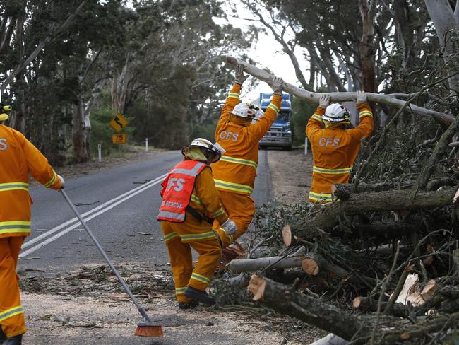 CFS workers cleaning up a fallen tree on Terlinga Road in Mount Torrens. Picture: Simon Cross