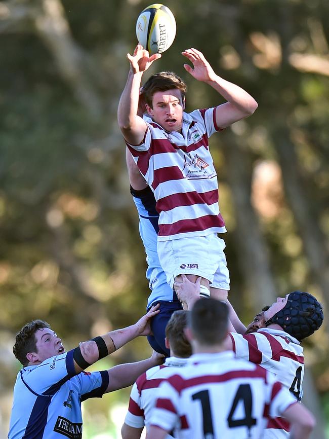 Kariong’s Lachlan Peruch wins a lineout yesterday. Picture: Troy Snook