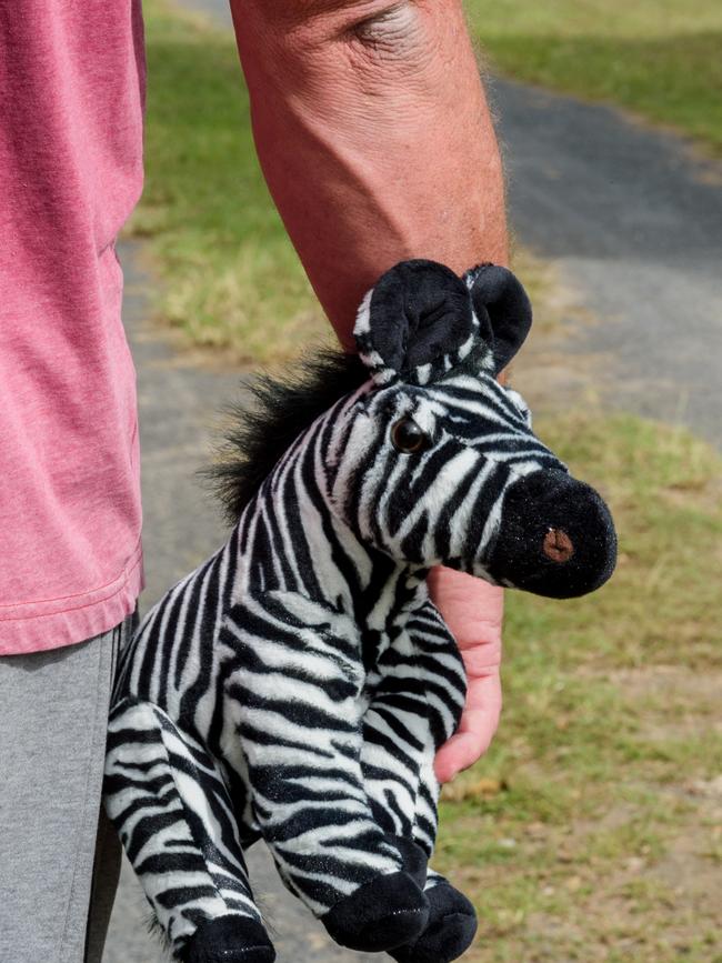 Truck driver Mark holds a zebra like the one he saw on the day of a fatal accident at Kumbia where the McLeod family died. Photo Paul Beutel.