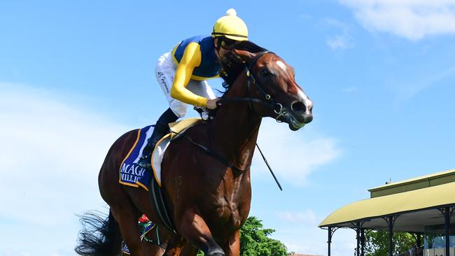 Storm Boy is equal favourite for the Magic Millions 2YO Classic. Picture: Grant Peters/Trackside Photography