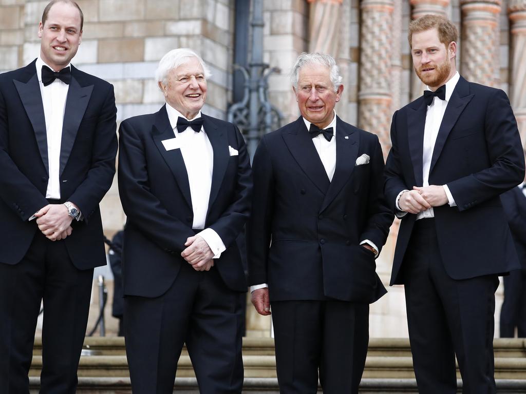 This moment between Prince William, David Attenborough, Prince Charles, and Prince Harry, was featured on the Cambridges’ “year in review”. Picture: Getty Images