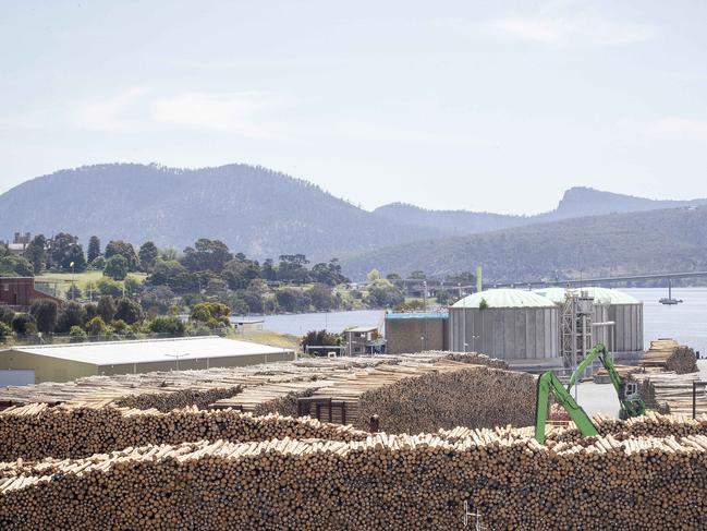 Sewage treatment plant and logs at Macquarie Point. Picture: Chris Kidd