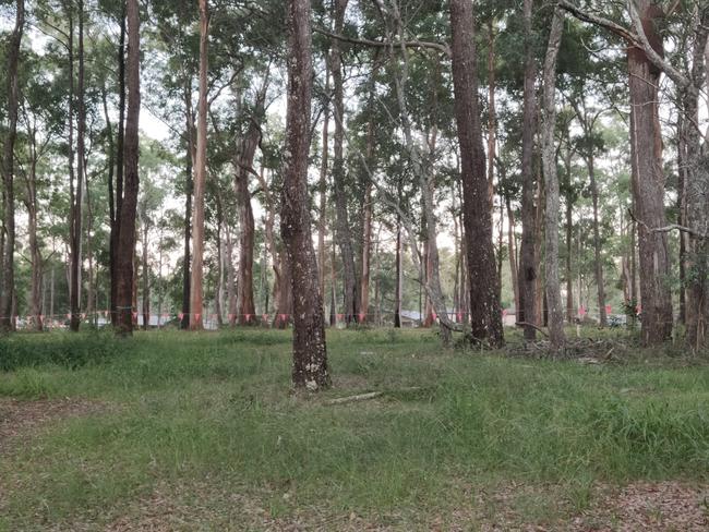 The site of Woombah Woods Caravan Park as trees were brought down in 2020.