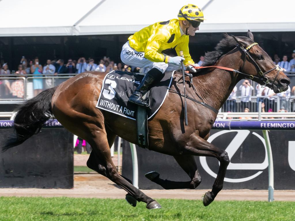Mark Knight loves sketching horses and capturing what incredible athletes they are. Racehorse Without A Fight and jockey Mark Zahra are captured in full flight, on their way to winning the 2023 Lexus Melbourne Cup. Picture: Jay Town/Racing Photos via Getty Images