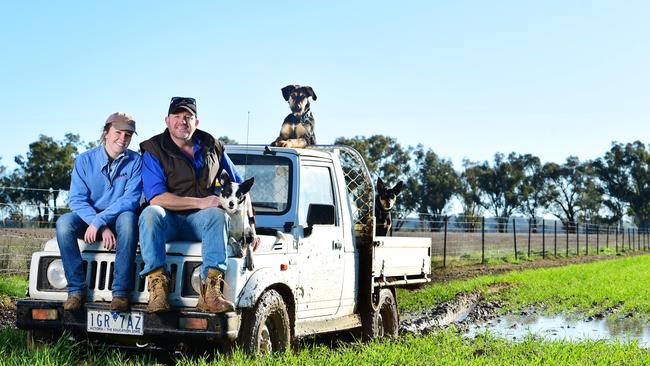 Low riders: Pip and Andrew Russell show the degree of waterlogging on their Lilliput farm, near Rutherglen. Picture: Zoe Phillips