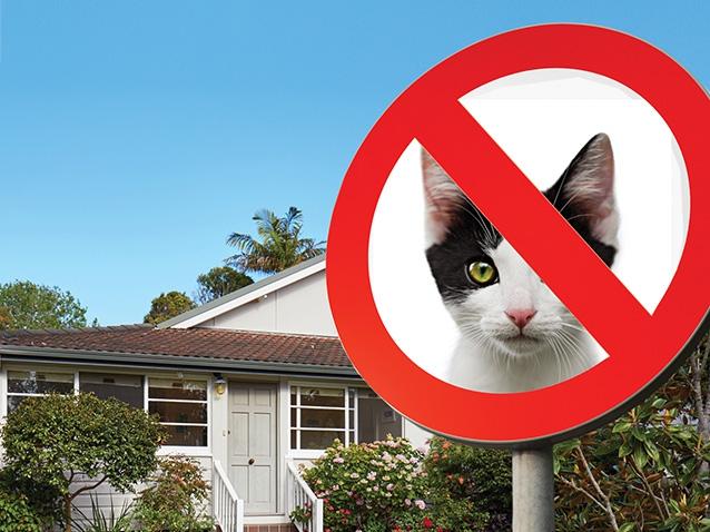 Cats could be locked inside under new proposals.