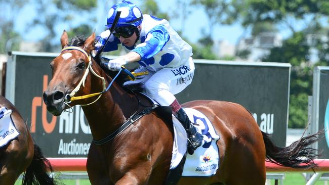 Jockey Paul Hammersley wins on Junction at the Gold Coast on January 25. Picture: Grant Peters/Trackside Photography.