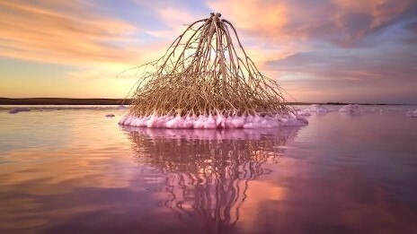 The pink salt of Lake Tyrrell at Sea Lake. Picture: Parks Victoria