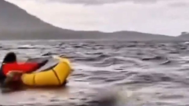 A male kayaker was swallowed by a humpback whale off Chilean Patagonia before being released seconds later, unharmed., Adrián Simancas was kayaking with his father, who filmed this video as the massive mammal suddenly surfaced. Picture X