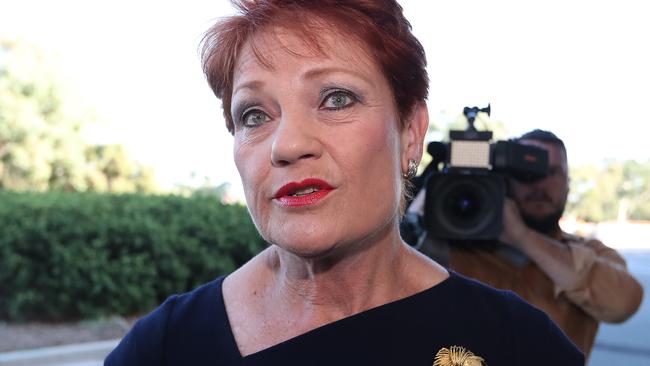 One Nation leader, Senator Pauline Hanson. Picture: Kym Smith