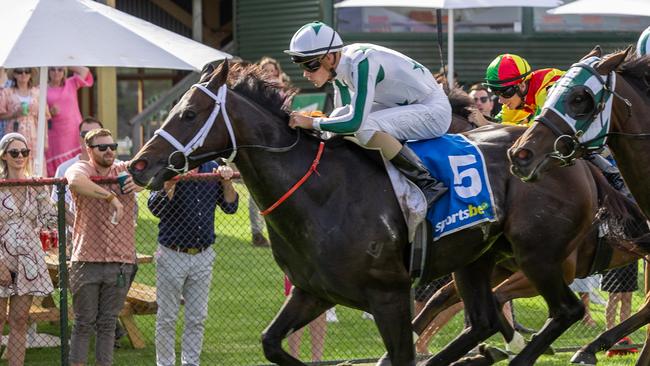 Celsius Star storms to victory in the Hills Railway Stakes at Oakbank. Picture: Makoto Kaneko