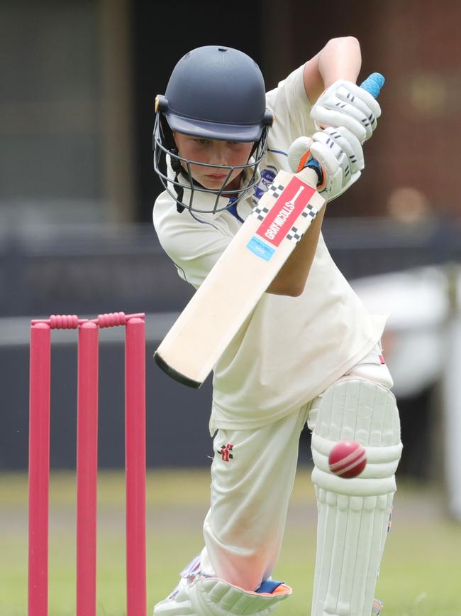 Cricket Junior Country Week match between GCA5 versus Colac3 Picture: Mark Wilson