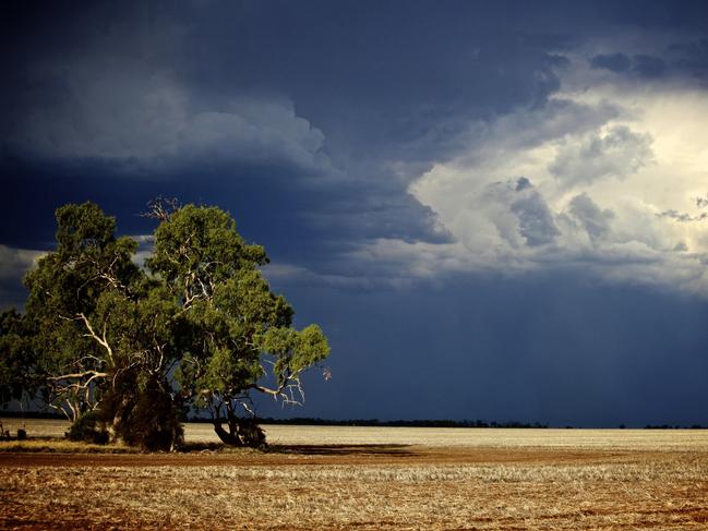 Teasing storm clouds pass in the distance of a harvested wheat field, north east of Clermont.