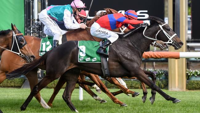 Verry Elleegant wins the 2020 TAB Turnbull Stakes. Picture: Brett Holburt – Racing Photos via Getty Images