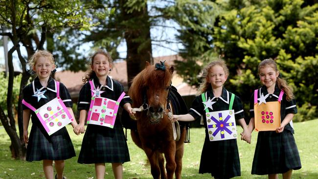 Seymour College students Grace Manifold, Poppy Clark, Minnie Clark and Saskia Rogers at their school with Fenwick Jester the shetland pony in preparation for the Melbourne Cup. Picture: Calum Robertson