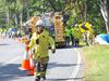 Work to fix tourist road crash black spots now complete