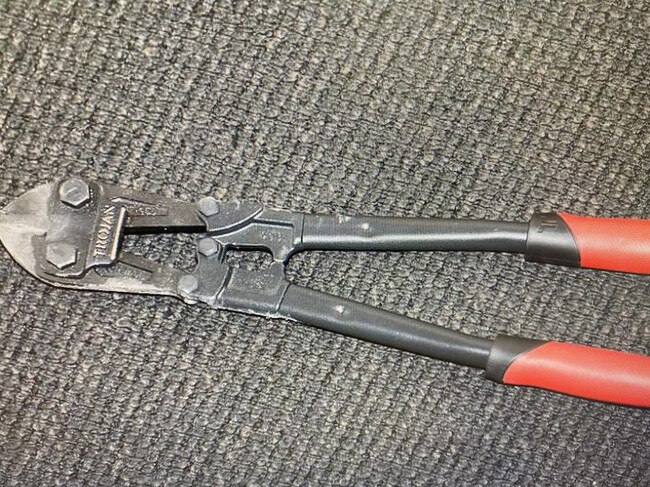 Bolt cutters that match the ones used in the break and enter were found at Mccarthy's address Photo: File