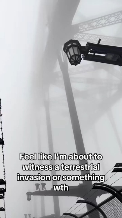 Thick fog blankets Sydney
