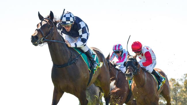 Young Werther is out of the Melbourne Cup after the CT scan discovered “an area of concern”. Picture: Racing Photos