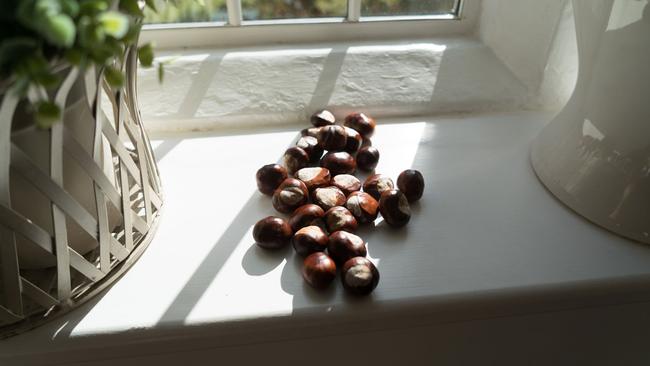 3. They leave chestnuts all around the houseChestnuts are believed to keep away spiders, so they are left in corners everywhere from stairwells to window sills and bathrooms. I found this strange seeing as England doesn't have any (proper) spiders anyway. 