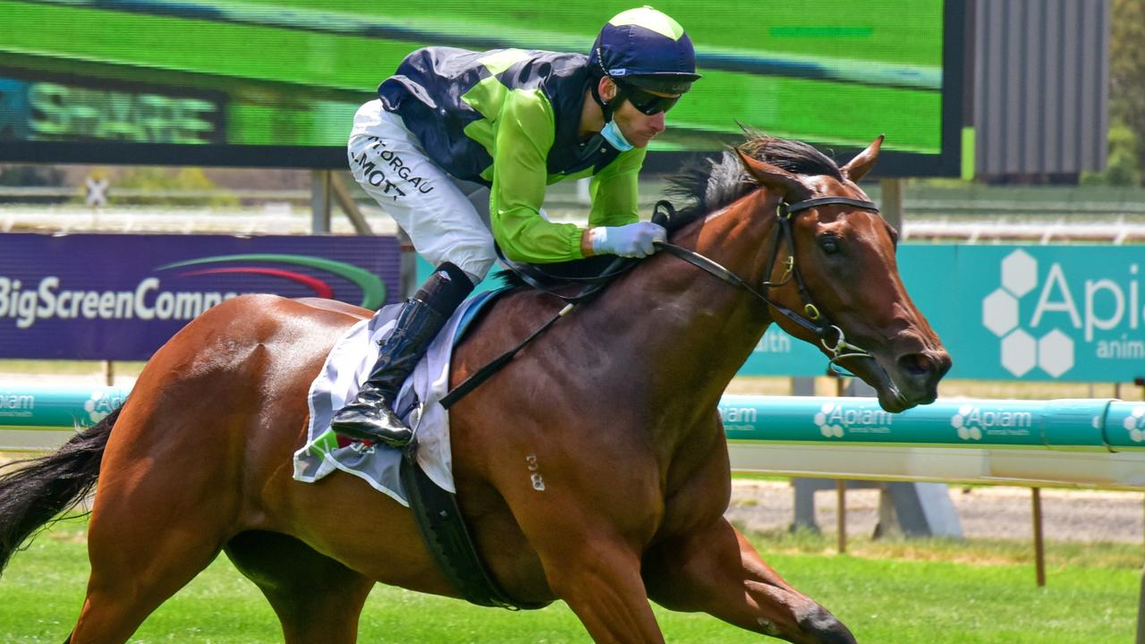 Academy Uniforms Two-Years-Old Maiden Plate