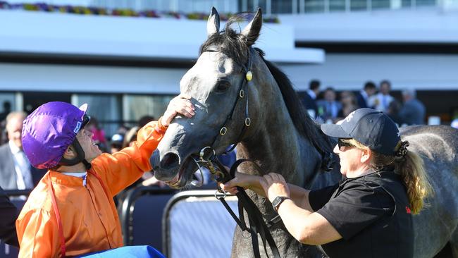 Jockey Craig Williams gives El Morzillo a well-earned pat after her victory in the $1 million Inglis Sprint at Flemington. Picture: Brett Holburt / Racing Photos