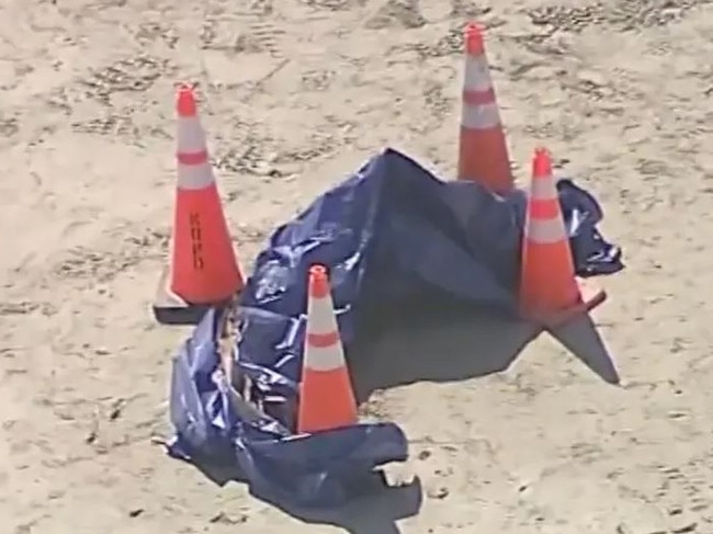 Severed human head found on beach