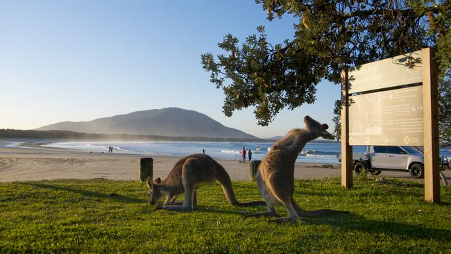 The family visited Diamond Head during a family holiday to the Mid North Coast. Picture: file