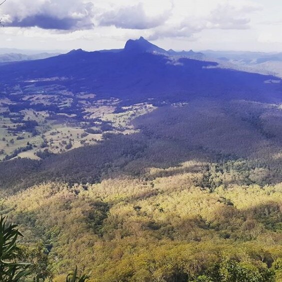 One of the views from Border Ranges National Park, looking over the Tweed Valley.