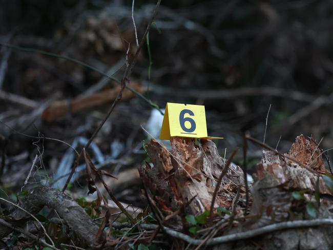 An evidence marker in the Good Night Scrub National Park. Picture: Adam Head