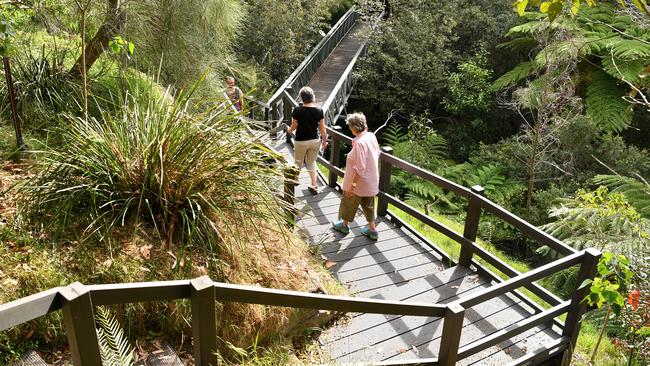 The Frank Hollows Reserve in Randwick. Picture: Joel Carrett