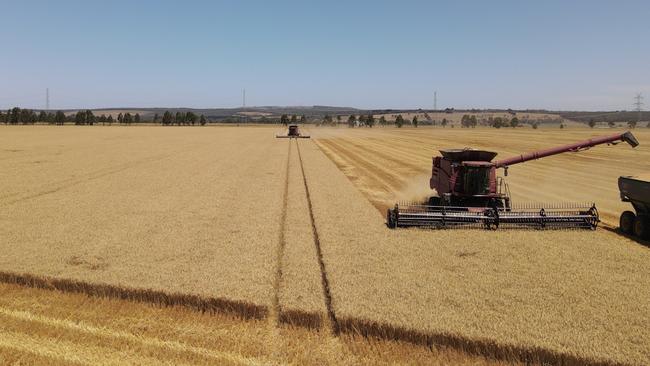 Farmland values across Victoria and Tasmania fell by about 8 per cent from the first quarter of this year compared to the first quarter of last year.