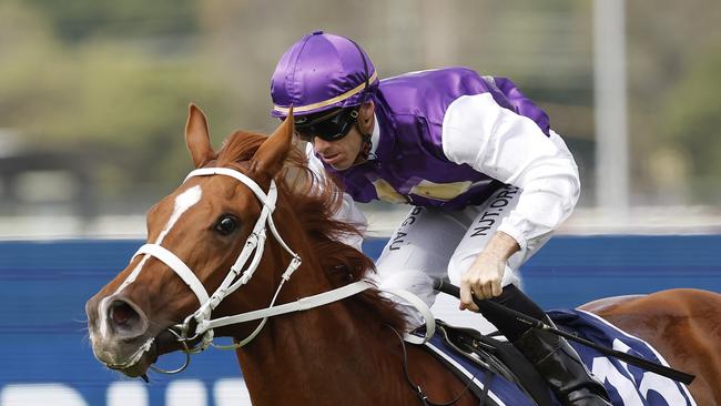 Madame Pommery will chase a drought breaking success in the Hawkesbury Crown. Picture: Mark Evans-Getty Images