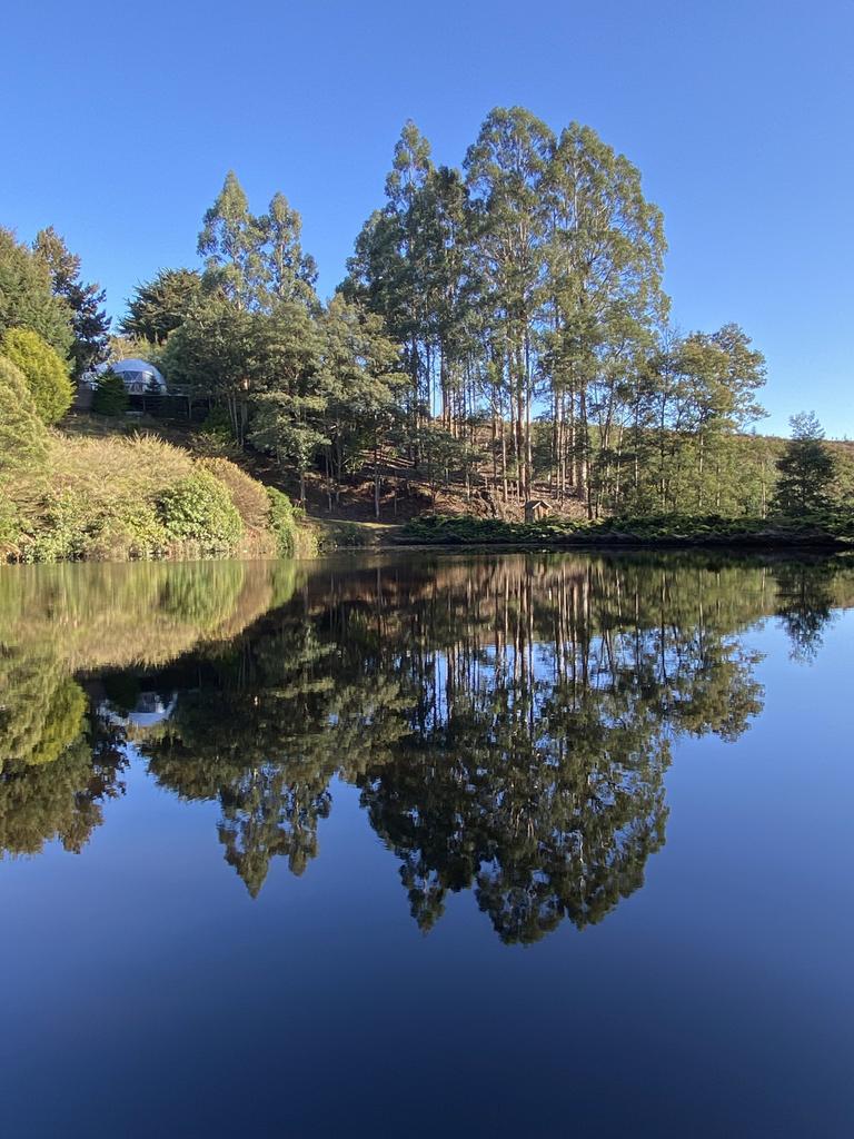 Reflection on the dam at Gleneagle, Riana. Your Focus on Tasmania Picture: Simon Ebsworth ***ONE TIME USE ONLY***