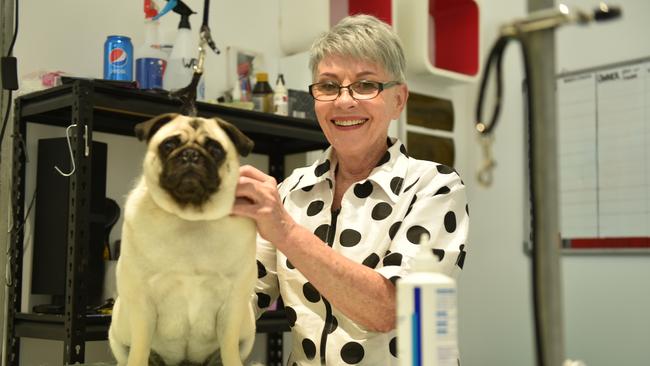 Bow Wow Meow Pet Grooming owner Janice Joyce tends to another happy customer. Picture: Marcel Baum