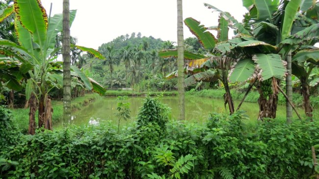 Yen Duc Village in Vietnam is a hidden gem inland from Halong Bay ...